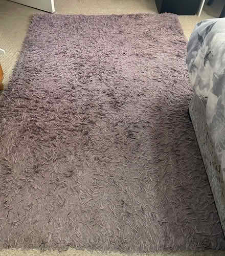 Photo of free Purple shaggy rug (Basildon) #1