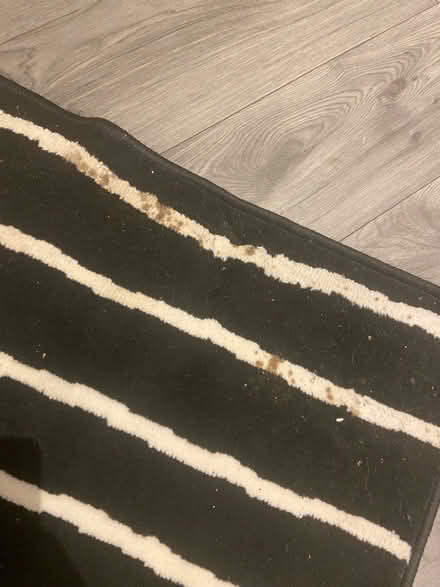Photo of free Black and white striped rug (Finnieston, Glasgow, G3) #4