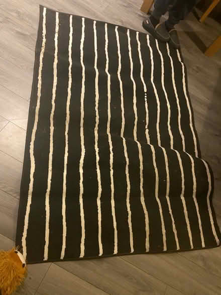 Photo of free Black and white striped rug (Finnieston, Glasgow, G3) #2
