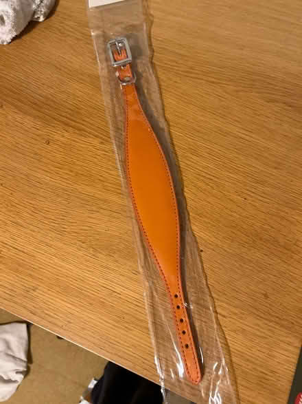 Photo of free Dog collar for whippet type dog (SE24 Herne Hill) #1