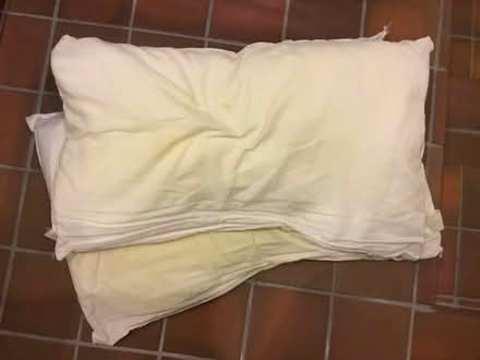 Photo of free Used pillows possibly for pet bedding (Fairfield Park) #1