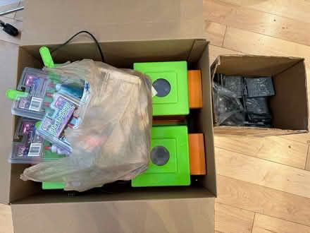 Photo of free Creepy Crawlers (Harvard, MA) #1