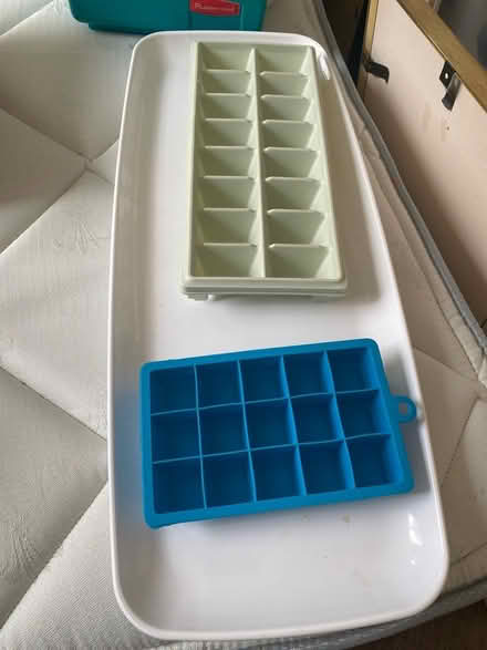 Photo of free Plastic tray and ice cube trays (West Catonsville) #1