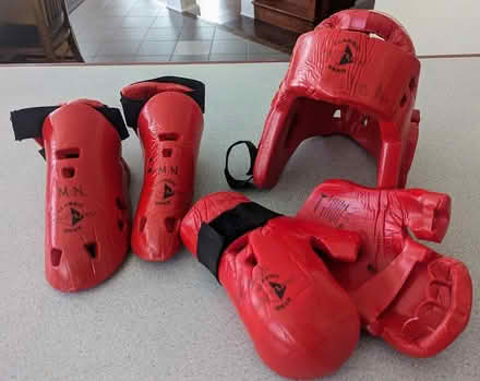 Photo of free Karate/Martial arts protective gear (McKellar Park) #1