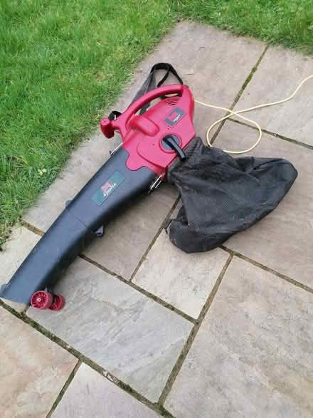 Photo of free Leaf Blower (Uckfield TN22) #1
