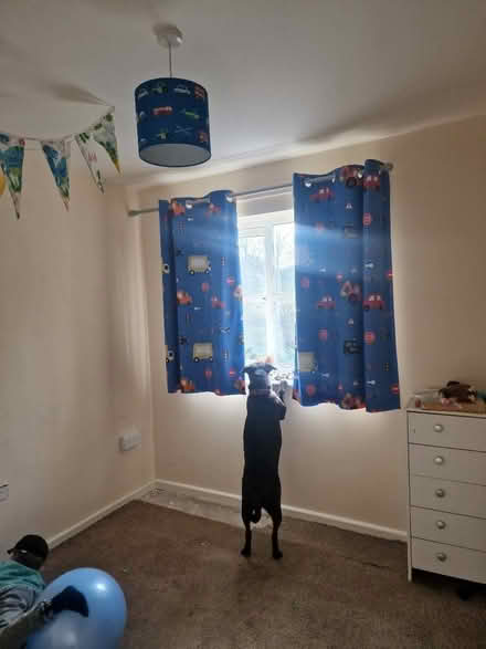 Photo of free Kids Lampshade, curtains and single bedding (Lifford B14) #2