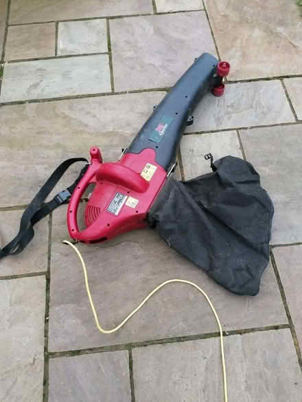 Photo of free Leaf Blower (Uckfield TN22) #2