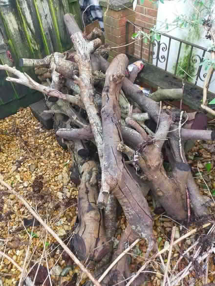 Photo of free branches (Ryde PO33) #1