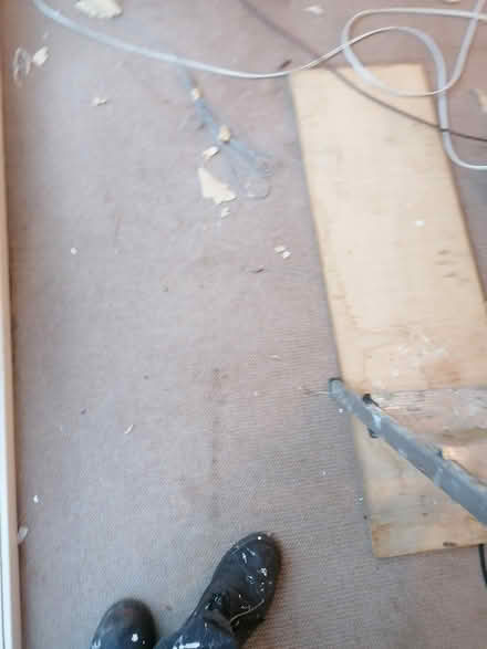 Photo of free Carpet used front room (SE19) #1