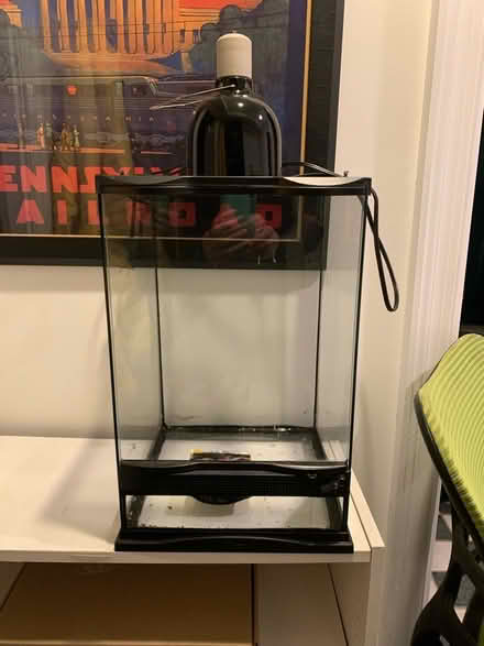 Photo of free Crested Gecko Cage and Light (North Cleveland Park) #1