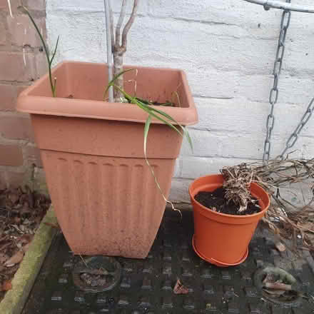 Photo of free Flower pots (B16) #1