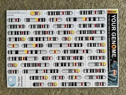 Photo of free Magnetic sheet of chromosomes (Colyford EX24) #2