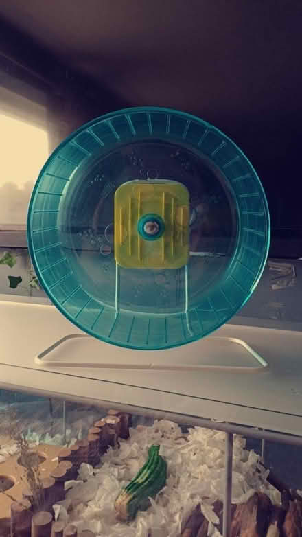 Photo of free XL hamster wheel (HX2) #1
