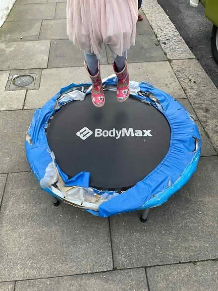 Photo of free Trampoline (W6) #2