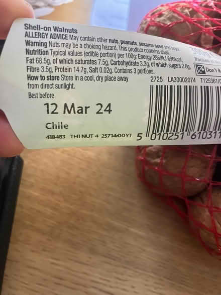Photo of free Whole walnuts (Putnoe MK41) #1