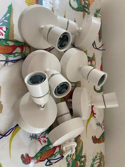 Photo of free Ceiling roses (Penrith CA11) #1