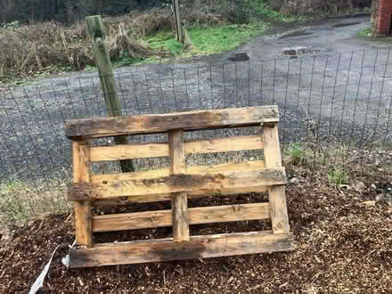 Photo of free Pallet (Treeton S60) #1