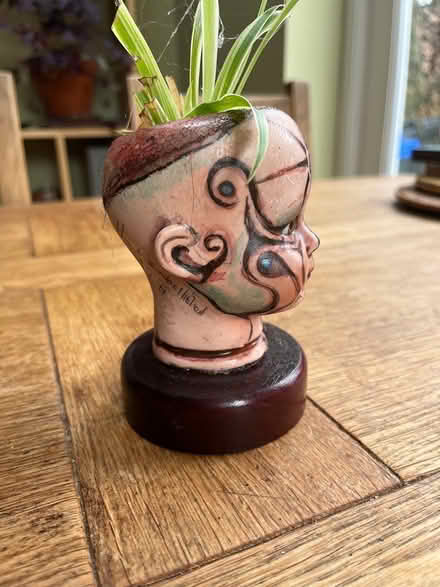 Photo of free Ornament spider plant head (Sheffield, S7) #2
