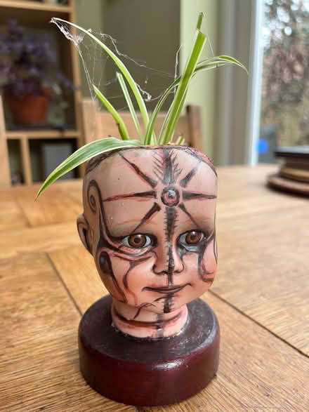 Photo of free Ornament spider plant head (Sheffield, S7) #1