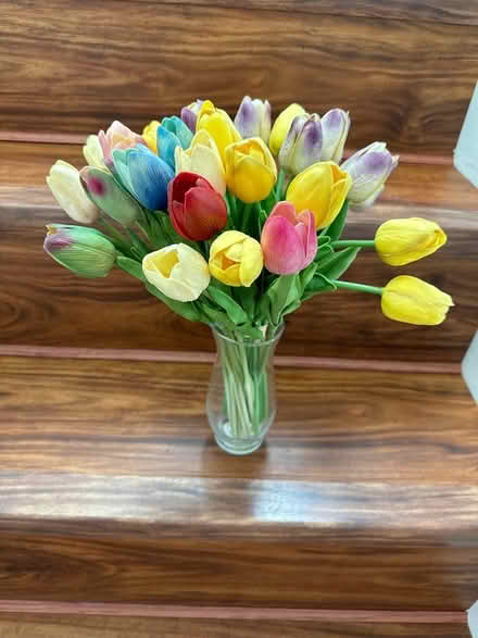 Photo of free Tulip, no vase (Gaithersburg, near NIST) #1