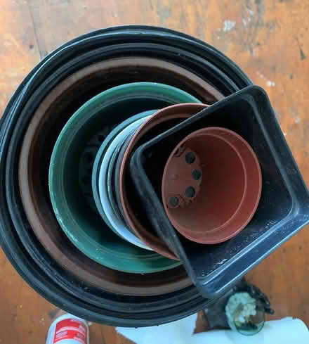 Photo of free Grower's pots variety (Ridgewood, Queens) #2