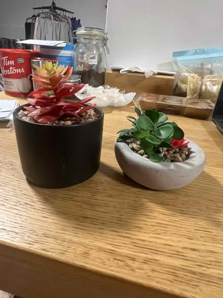 Photo of free Artificial Plants (N19) #1