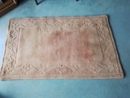 Photo of free Hearthrug (Pantymwyn CH7) #1
