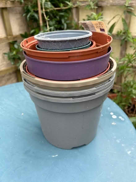 Photo of free Plastic plant pots (Chiswick W4 near High Road) #1