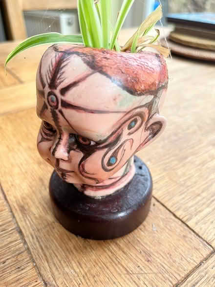 Photo of free Ornament spider plant head (Sheffield, S7) #4