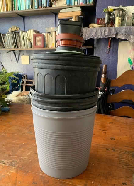 Photo of free Grower's pots variety (Ridgewood, Queens) #1