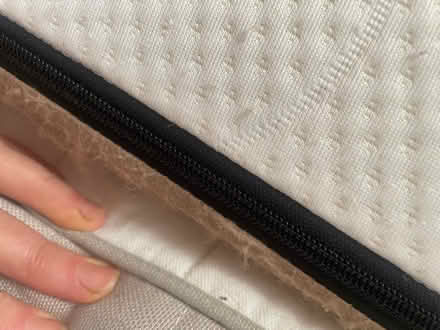 Photo of free Single mattress removable cover (Mottingham, SE9) #2