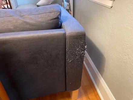Photo of free IKEA Karlstad couch w chaise (Highland Park Area) #4