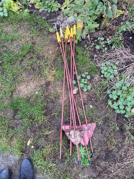 Photo of free Bamboos and whatever these things in the photo are! (Widcombe) #2