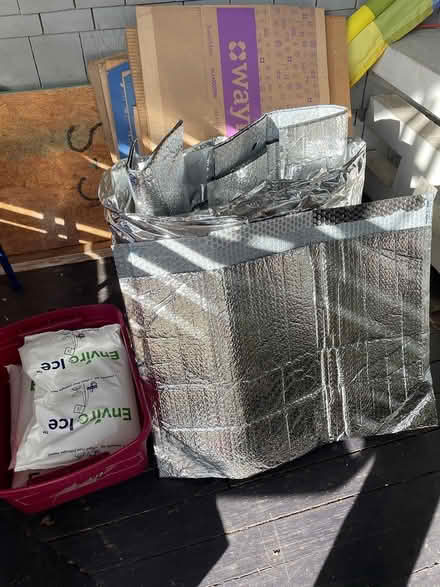 Photo of free Insulated bags and cooler packs (Downtown Sanford) #1