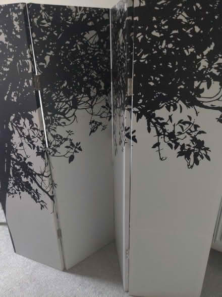 Photo of free Black and white foldaway screen (Hove BN3) #1