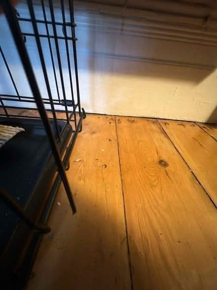 Photo of free Large dogs crate (Hove) #4