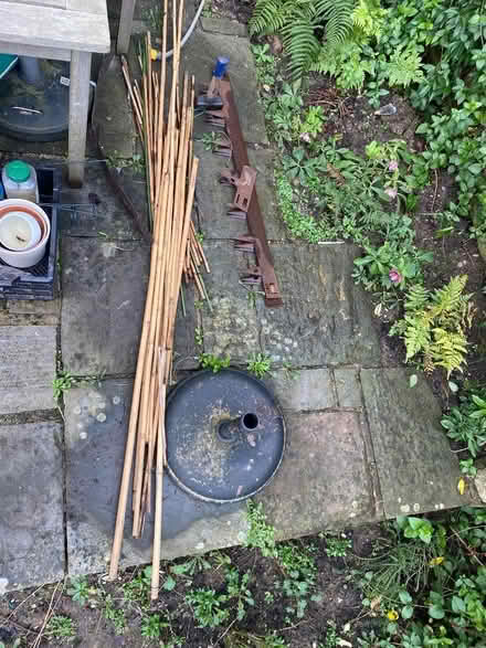 Photo of free Bamboos and whatever these things in the photo are! (Widcombe) #1