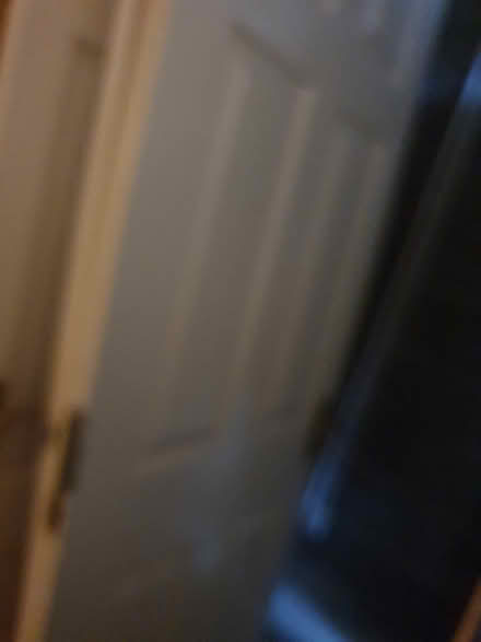 Photo of free Internal doors white (Tarleton PR4) #3