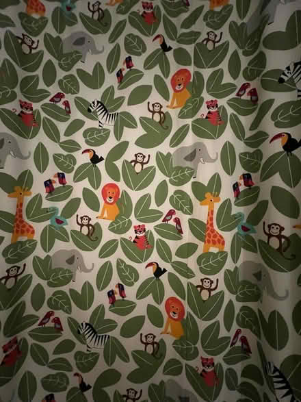 Photo of free Kids jungle curtains and rug (Gosforth NE3) #2