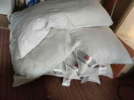 Photo of free 5 pillows (Thornhill DG3) #1