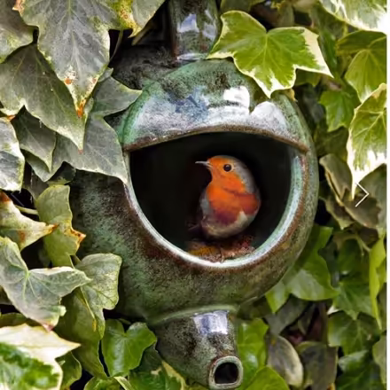 Photo of Old teapots for nesting birds (Arrington SG8) #1