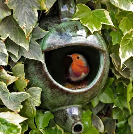 Photo of Old teapots for nesting birds (Arrington SG8) #1