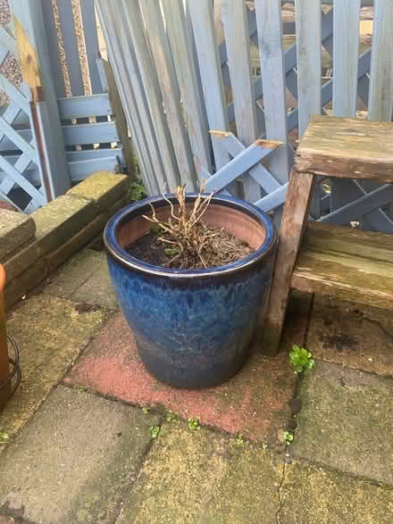 Photo of free Garden pots (ME19) #4