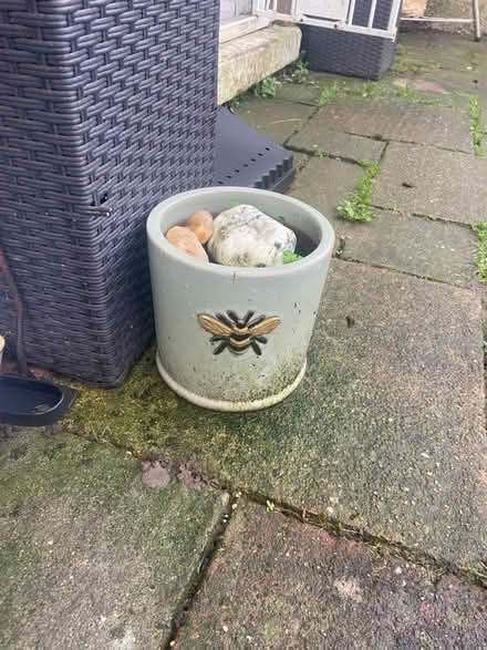 Photo of free Garden pots (ME19) #3