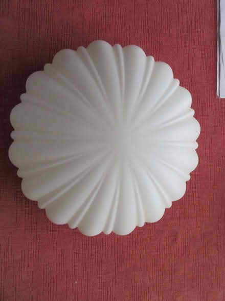 Photo of free Scallop effect ceiling light (Grange Park WA10) #2