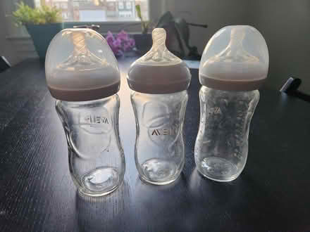 Photo of free Avent Glass Baby Bottles (Kingman Park) #1