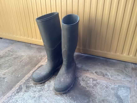 Photo of free Pair of wellies, size 41 (Lea, HR9) #1