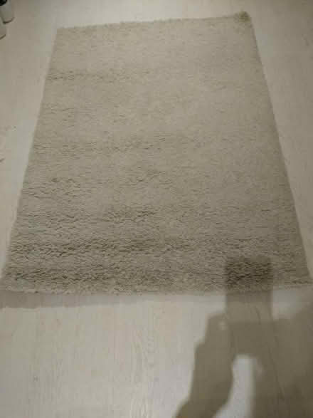 Photo of free Cream Rug (Lion Gate TW9) #2