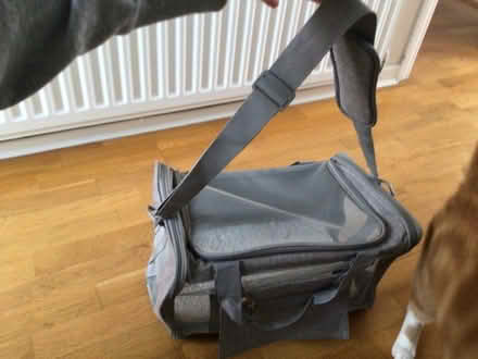 Photo of free Pet Carrier (Noctorum CH43) #3