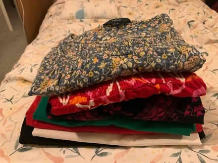 Photo of free Size 14 tops (Next) (Garston L19) #1